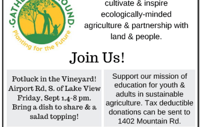 Our first ad in the newspaper