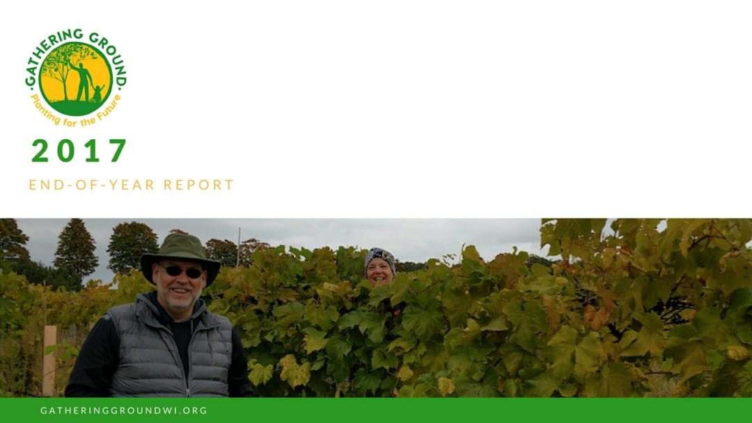 2017 Annual Report cover