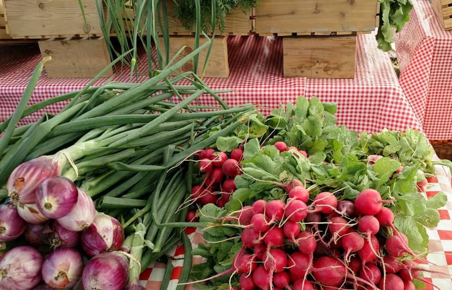radishes and shallots on a table at the farmers' market