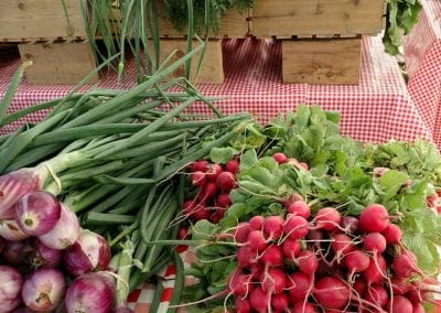 radishes and shallots on a table at the farmers' market