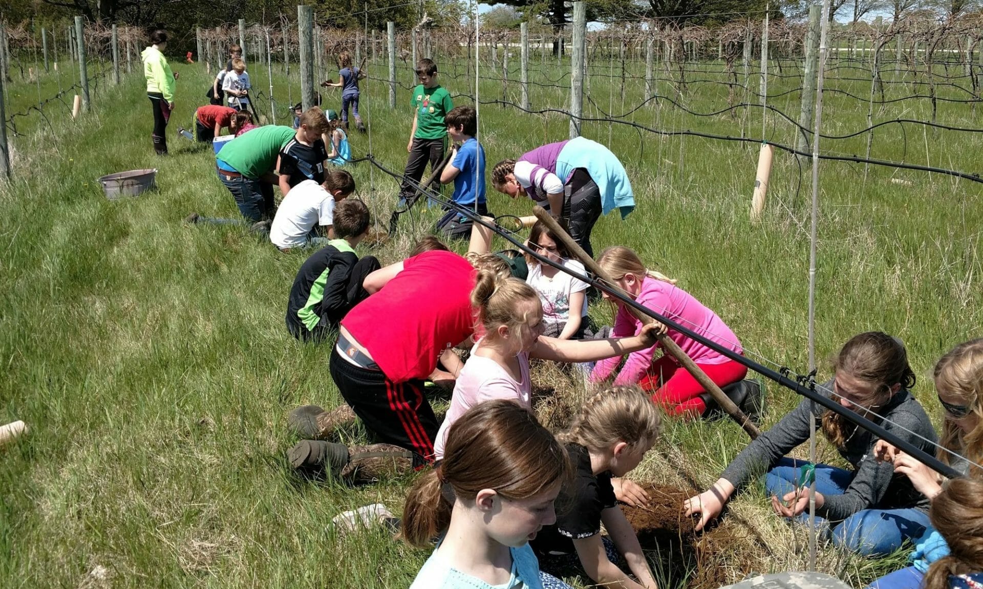 Planting up a storm at Gathering Ground