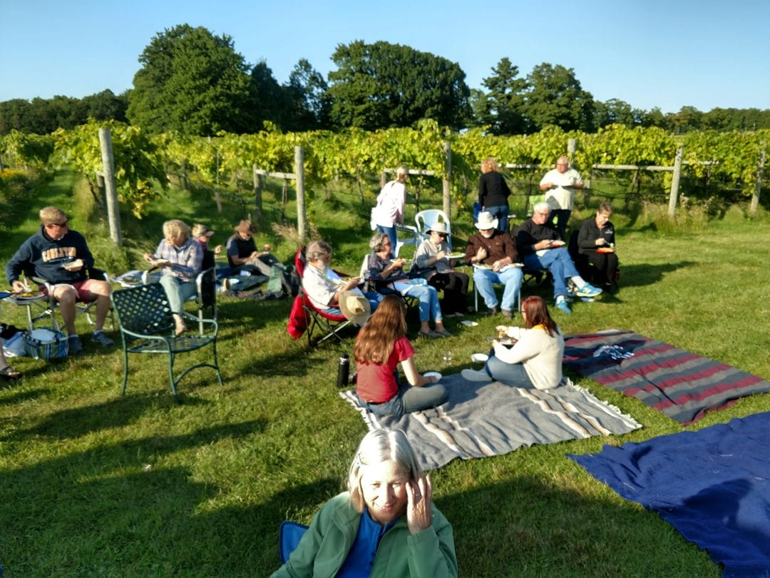 sixteen people sitting in chairs and on picnic blankets in front of the vineyard, sharing a potluck meal