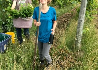 two interns help out in the vineyard