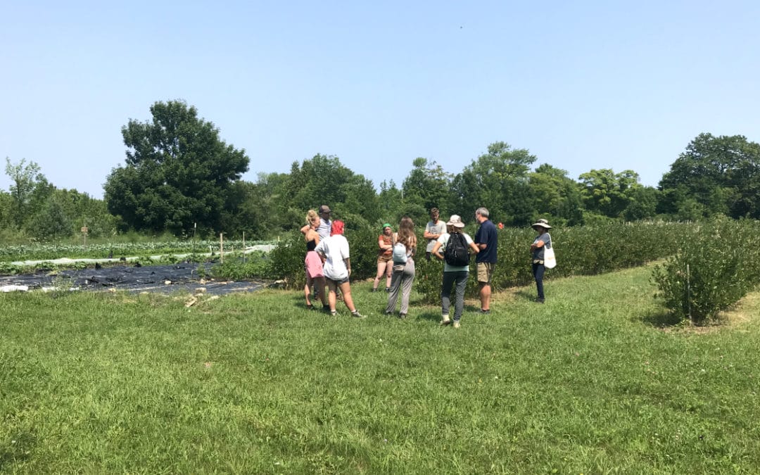 Meet our 2021 Interns