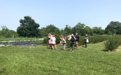 Meet our 2021 Interns