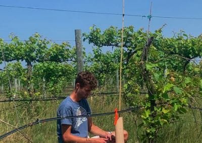 2021 intern Graham planting vines