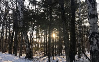 Reflecting on 2021 and Preparing for 2022