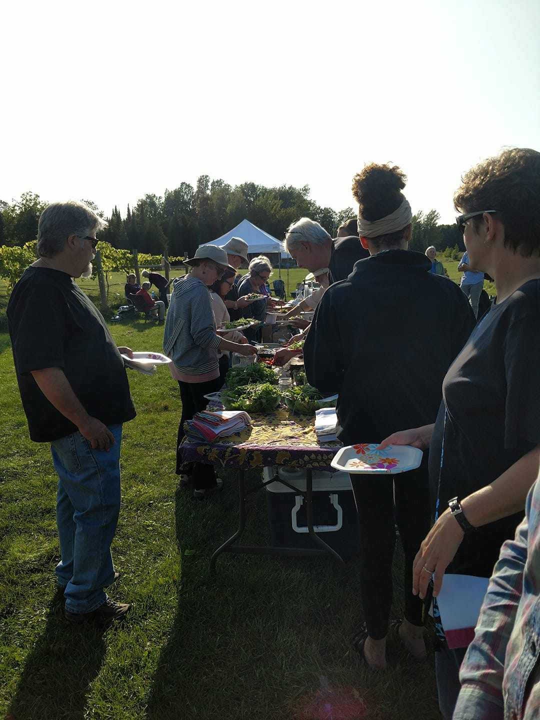 people gathered around a table in the vineyard, sharing a potluck meal