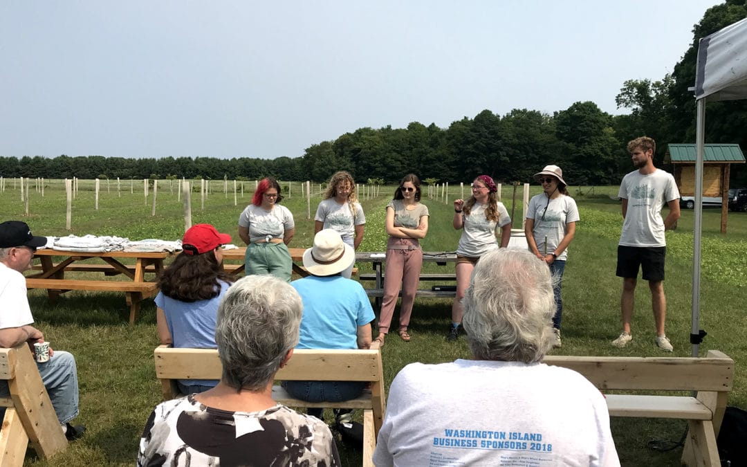 Applications are open for Summer 2022