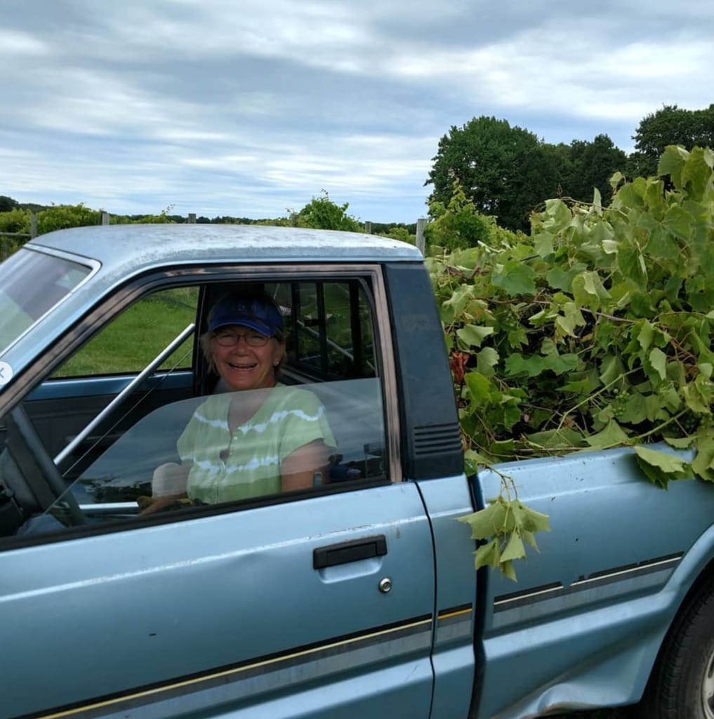 a volunteer in a truck loaded with vine cuttings smiles at the camera