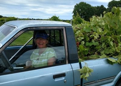 a volunteer in a truck loaded with vine cuttings smiles at the camera