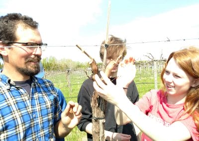 Casey Dahl instructs high school students in grapevine grafting