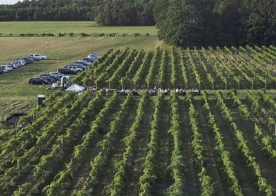 overhead shot of the vineyard, with a long table in the center and people gathered around it