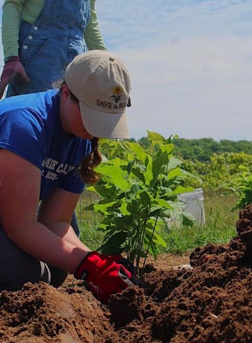 2021 Emma planting a sapling