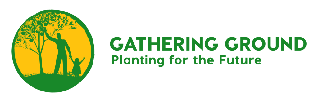 Gathering Ground logo: circular icon shows a silhouette of an adult and a child holding hands and picking fruit from a tree. Text reads "Gathering Ground: Planting for the future"