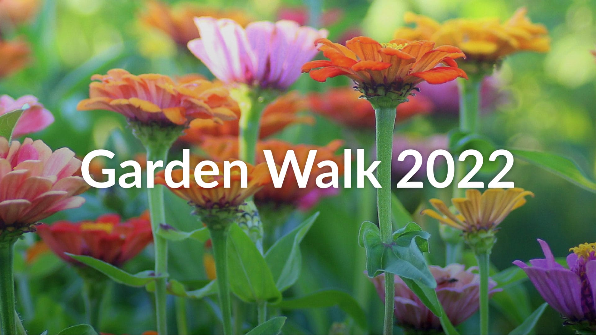 image of flowers and text overlay reading "Garden Walk 2022"