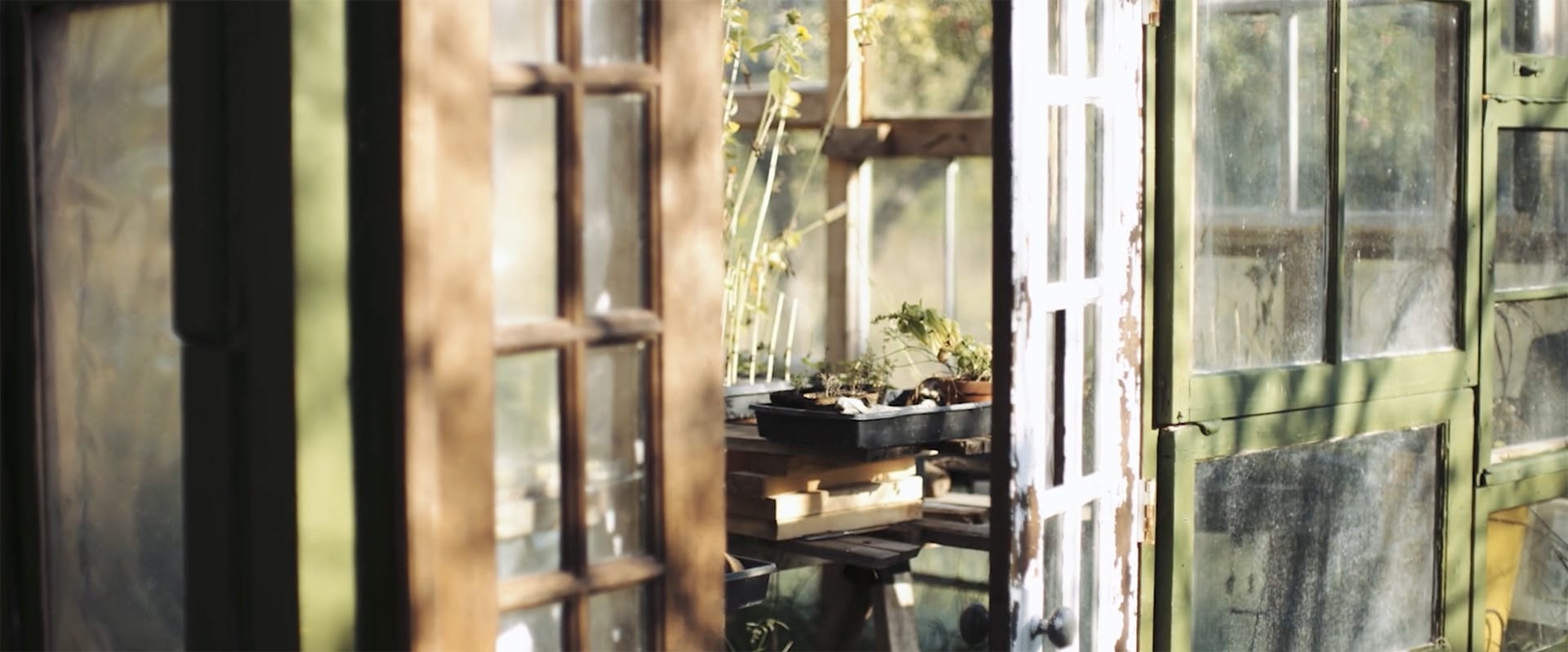 view through a doorway of a gardening shed with plants on a table