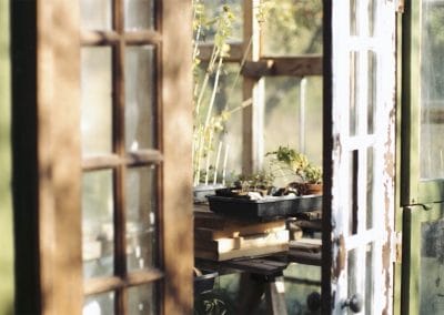 view through a doorway of a gardening shed with plants on a table
