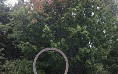 Forest Path Connecting School to Gathering Ground