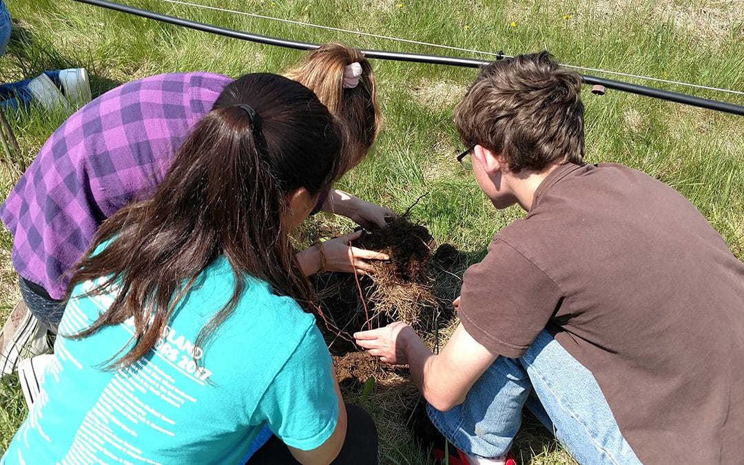 Fifth grade students starting a mini classroom garden