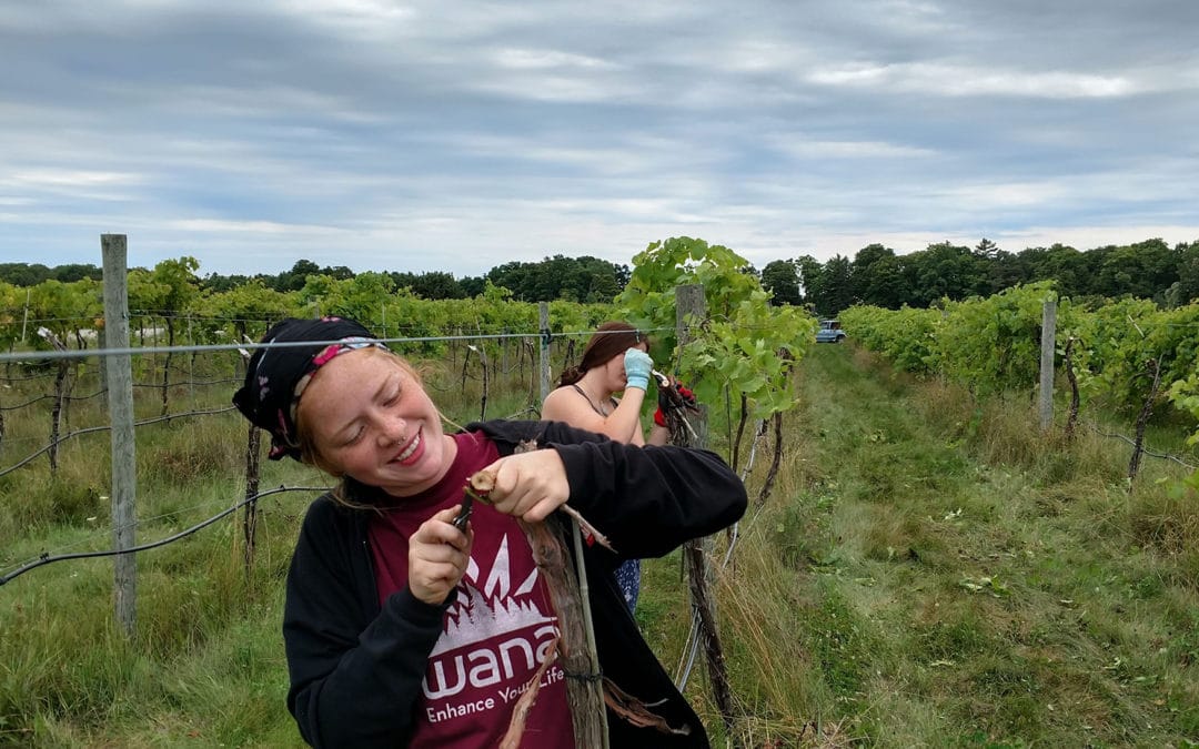 Looking to Grow: RuralYear