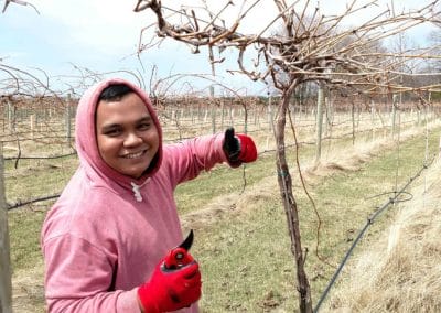 a man in the vineyard holding pruning shears gives a thumbs up