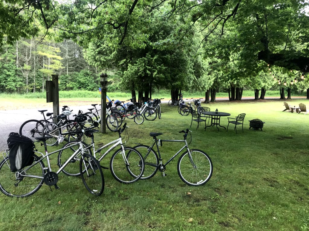 several bicycles lined up under a grove of trees
