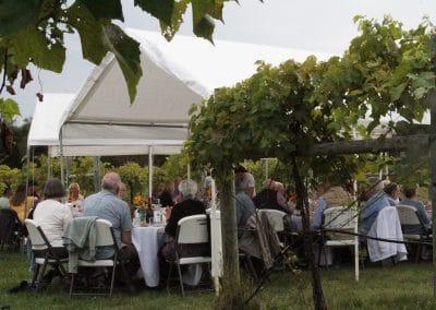 people gathered around tables in the vineyard