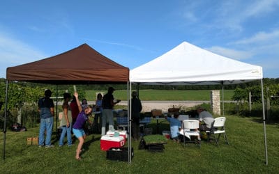 To Gathering Ground as it turns one year old