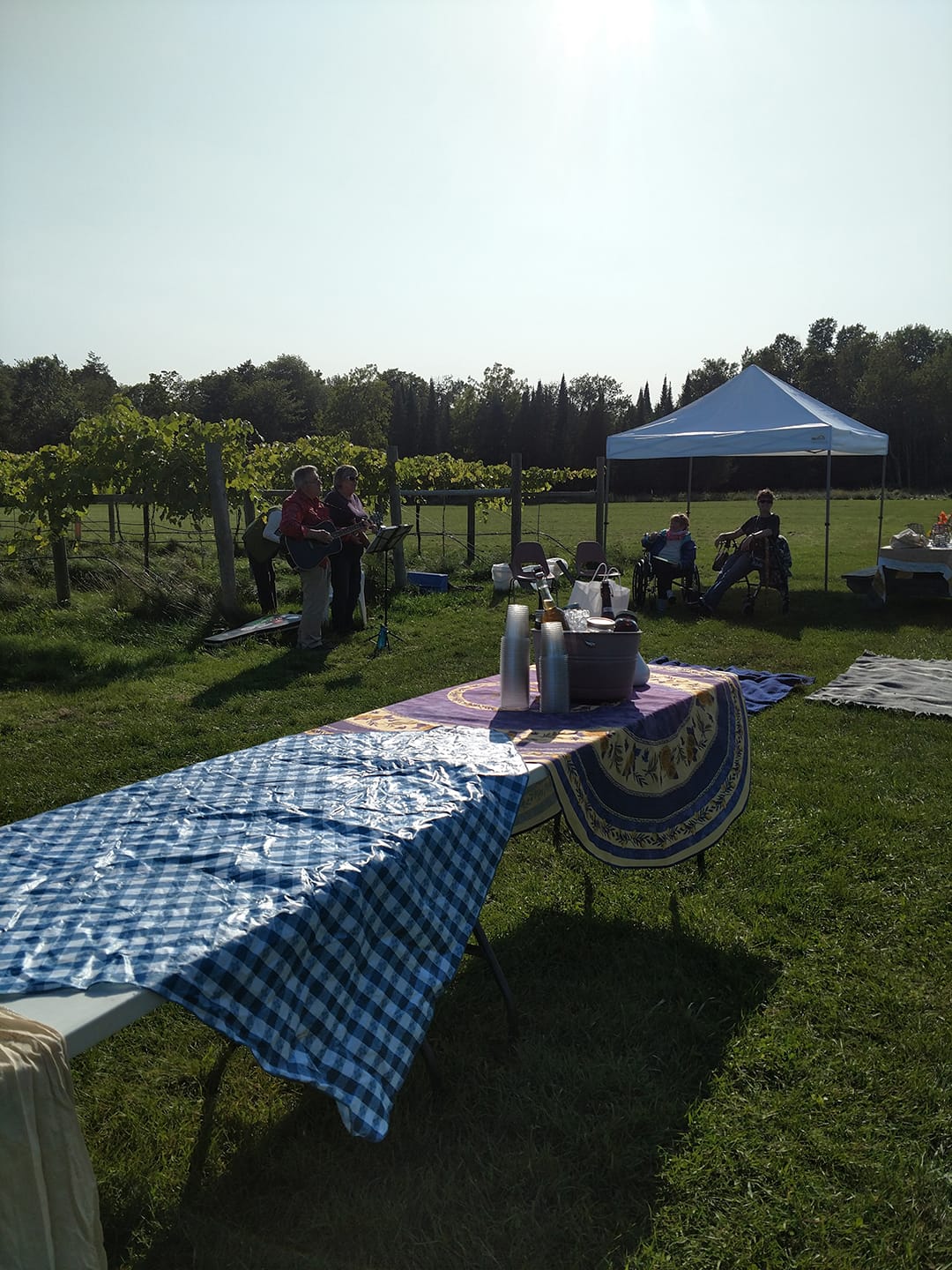 potluck 2017 live music