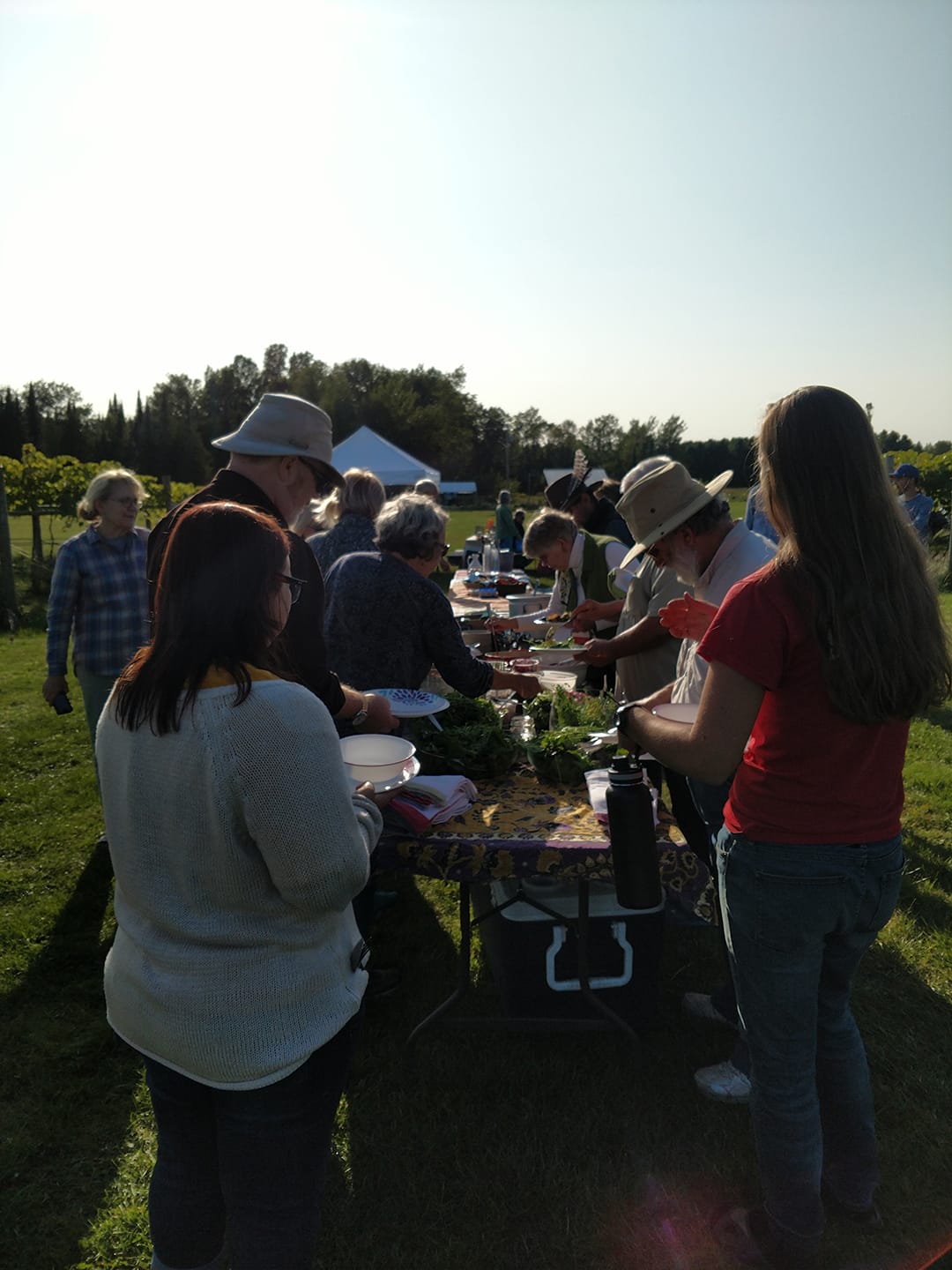 people gathered around a potluck table