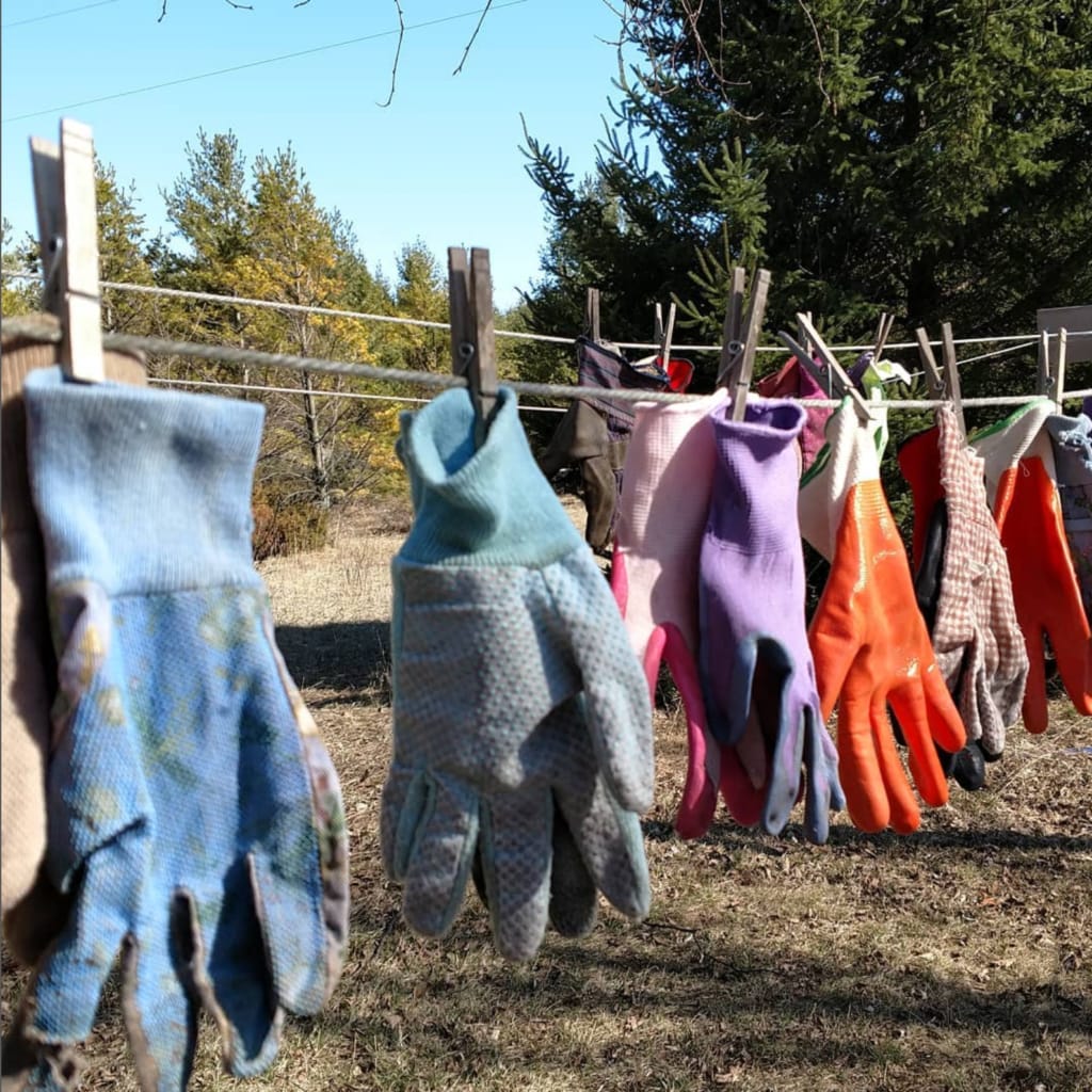 a row of pruning gloves hanging from a clothesline