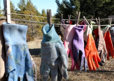 a row of pruning gloves hanging from a clothesline