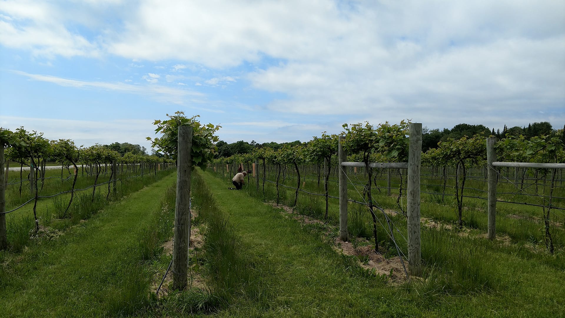 Gathering Ground It's Official! Gathering Ground