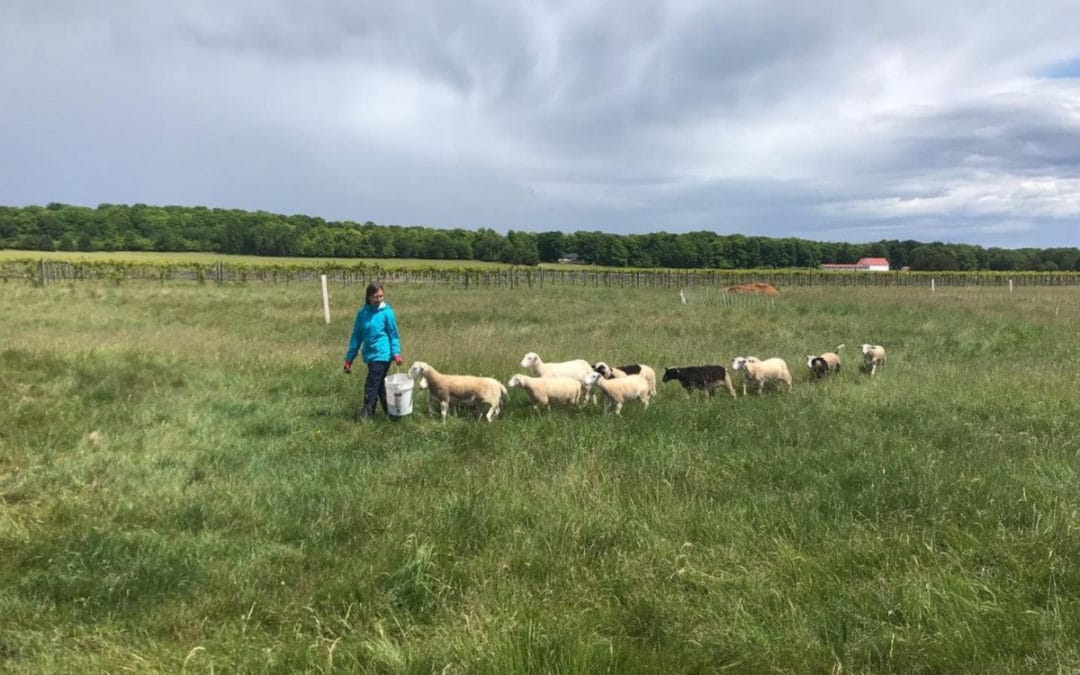 Meet our 2021 Interns – Part Two