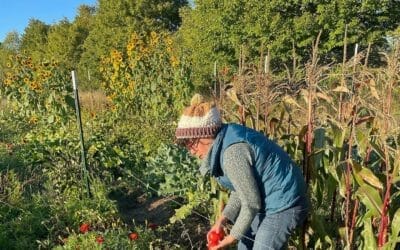 Community Garden Beginning 2023 at Gathering Ground