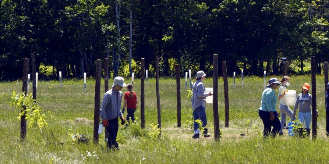Ground School In The News