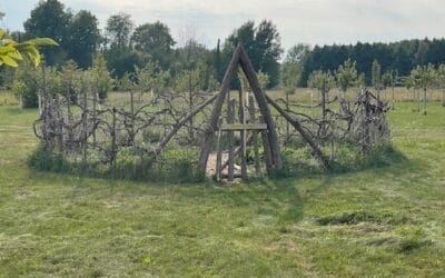 Help us plan our workshops!