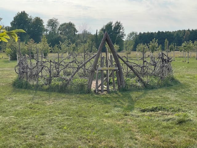 Help us plan our workshops!