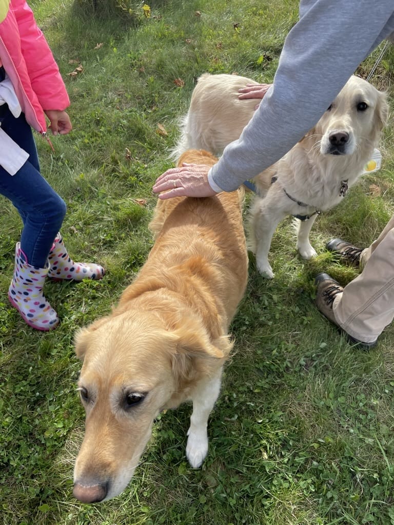 Gathering Ground Vineyard