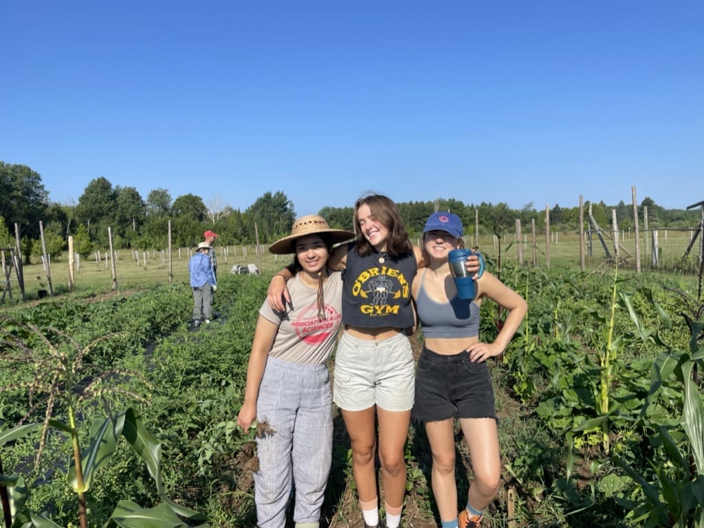 Agricultural Internship