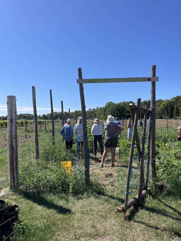 Agricultural Internship