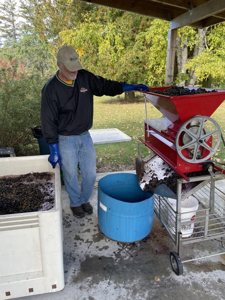 Gathering Ground Vineyard