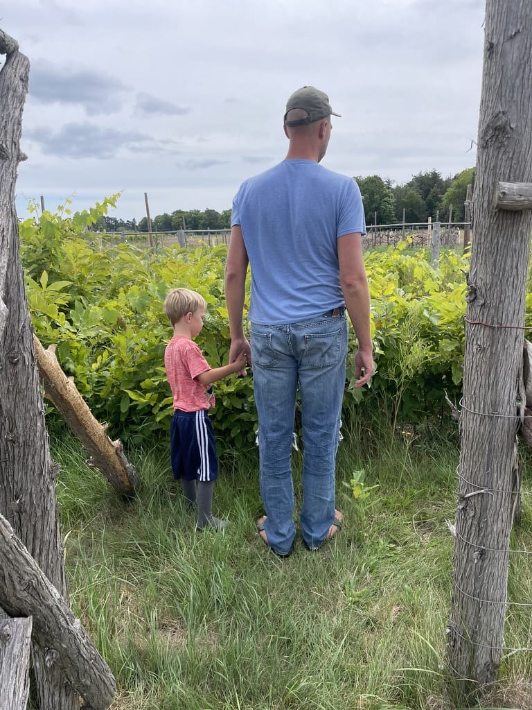 Agricultural Internship