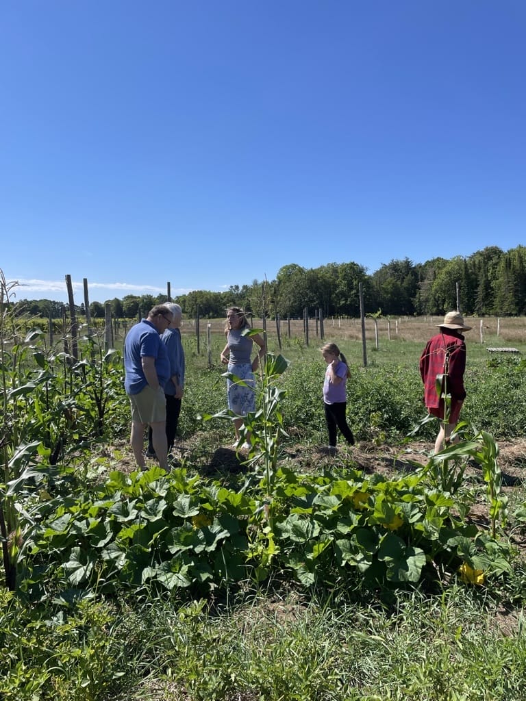 Agricultural Internship