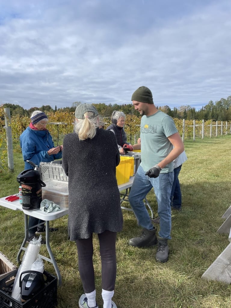 Gathering Ground Vineyard