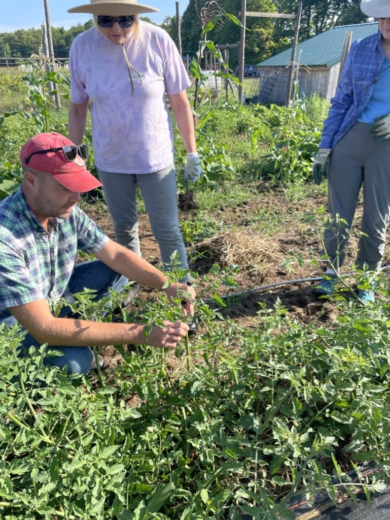 Agricultural Internship