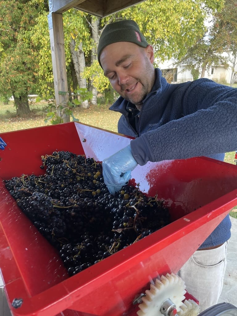 Gathering Ground Vineyard