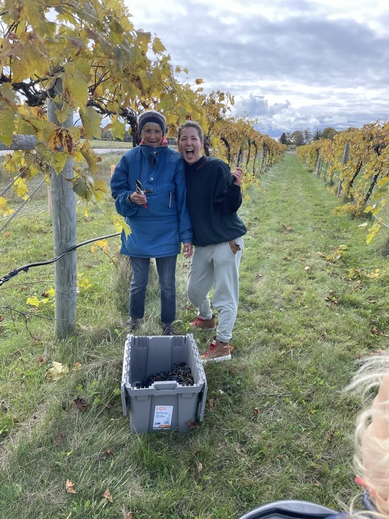 Gathering Ground Vineyard