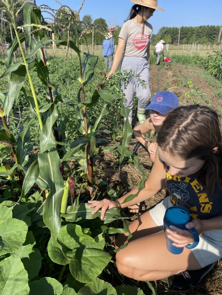 Agricultural Internship